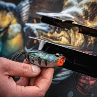 Savage Gear Advent Calendar